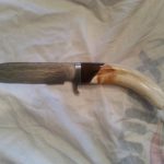 Warthog & Walnut Damascus Knife