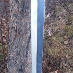 48in sword - caribou handle w wolf head B