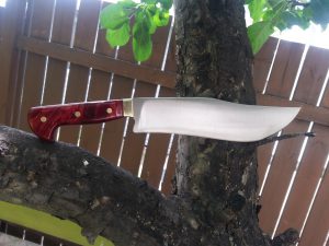 Buffalo Knife